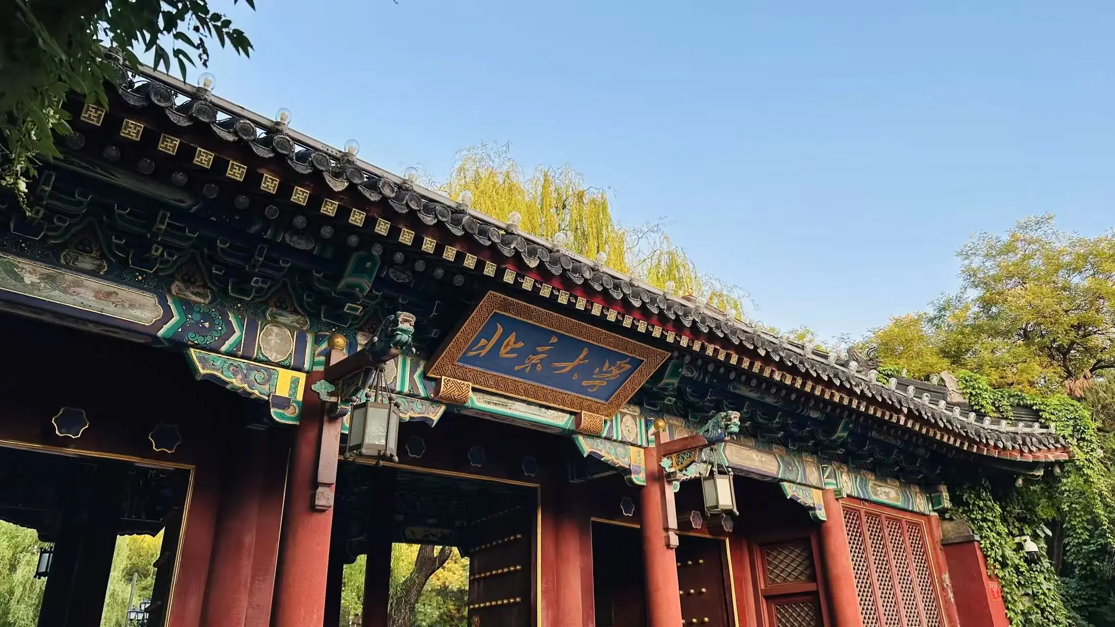 q-Bio 2025 Conference